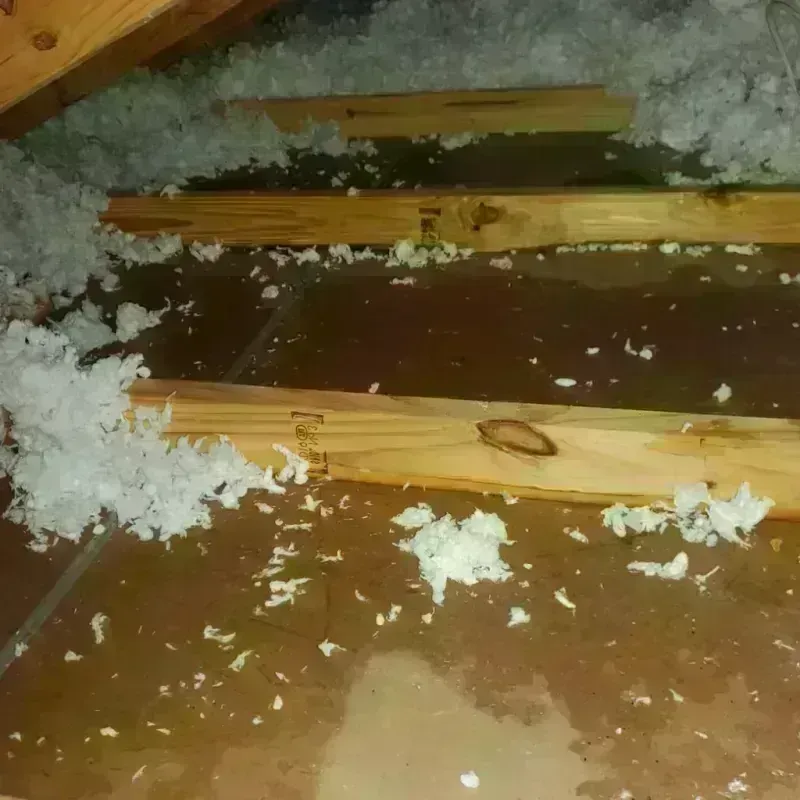 Attic Water Damage in Hurley, WI