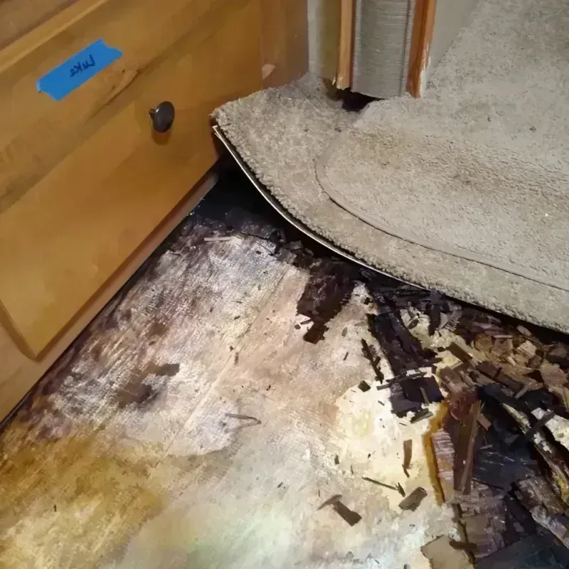 Wood Floor Water Damage in Hurley, WI